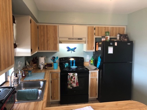 1_Cape-Coral-Kitchen-Update-7 1_Cape-Coral-Kitchen-Update-7