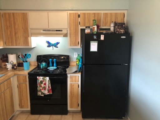 1_Cape-Coral-Kitchen-Update-9 1_Cape-Coral-Kitchen-Update-9