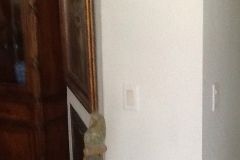 Marco Island Remodel