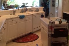 Marco Island Remodel